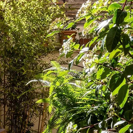 Apartman Domus Maya Colosseum