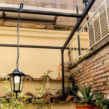 Domus Maya Colosseum