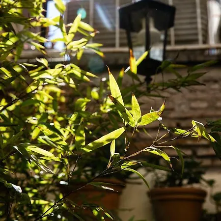 Lejlighed Domus Maya Colosseum